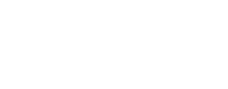 David Steed Company